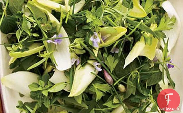 Insalata di erbe e indivia con salsa cremosa al lime