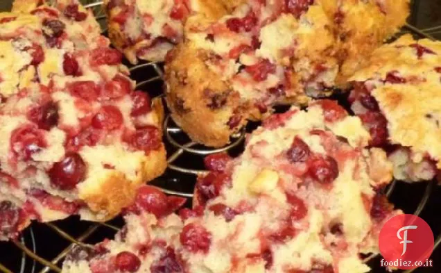 Nantucket Crostata di mirtilli rossi