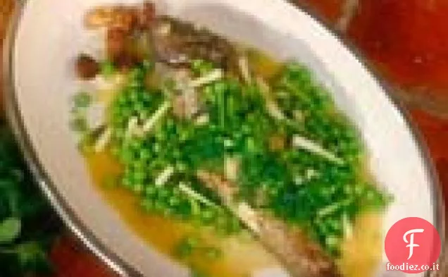 Porgy, Stile romano: Pagro alla Romana