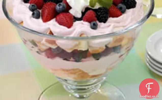 Berry Budino sciocchezza