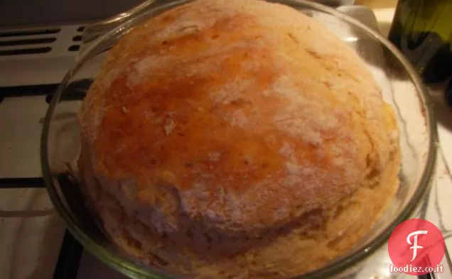 Torta della signora del Sud