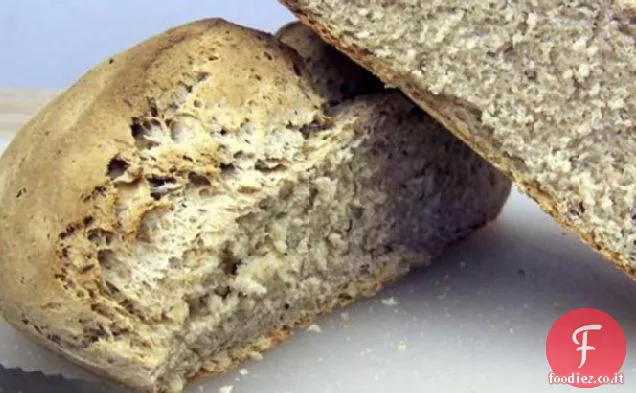 Pasta madre Antipasto e Pane di segale a lievitazione naturale