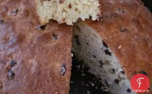 Cane maculato Pane irlandese