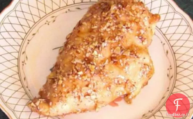 Pollo d'acero della Nuova Scozia