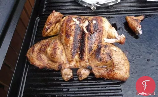 Pollo eroina