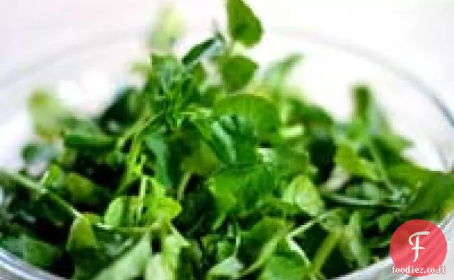 Insalata di crescione appassito