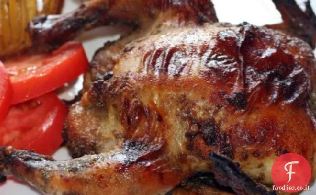 Galline corniche vestite