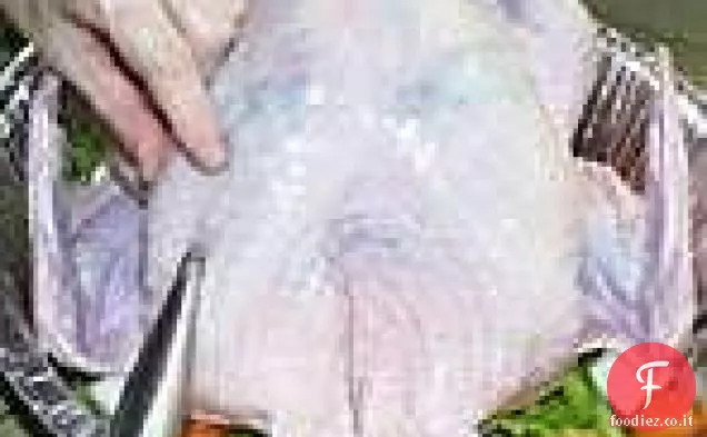 Tacchino arrosto al peperoncino arancione