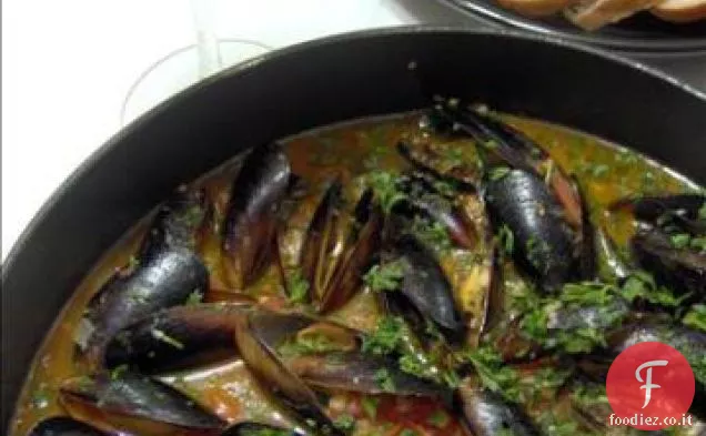 Cozze Josephine