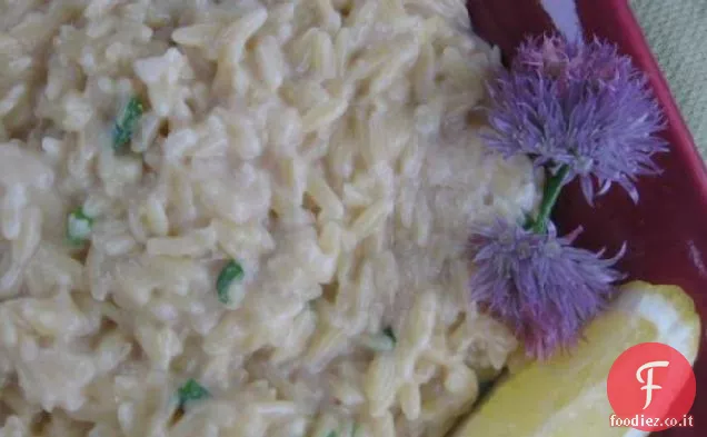 Big Daddy's Limone Pepe Orzo