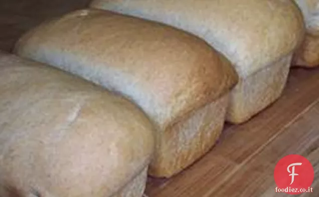 Pane integrale facile