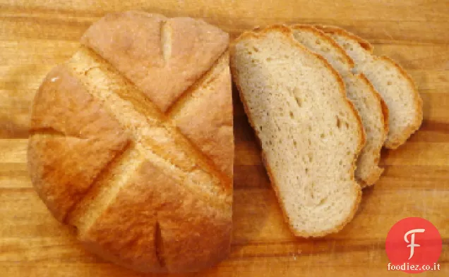 Cottura del pane: Grani antichi