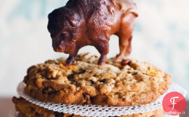 Biscotti di Buffalo Chip