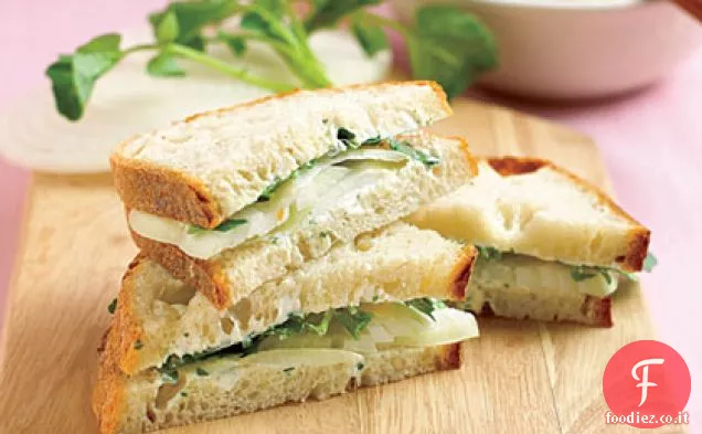 Panini alle cipolle e alle erbe