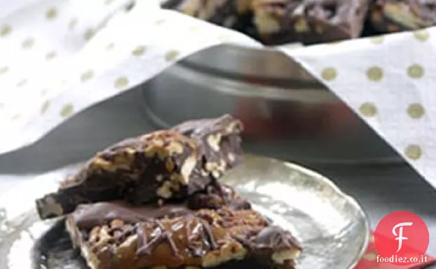 Brillo corteccia di tartaruga