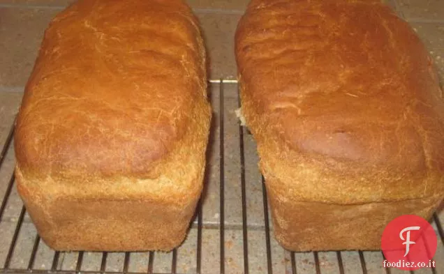 Gelato facile (Acero o miele zuccherato)