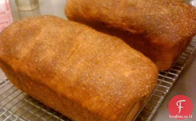 Amish Miele morbido Pane integrale