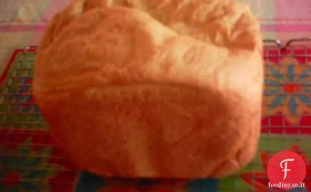 dill ricotta pagnotta