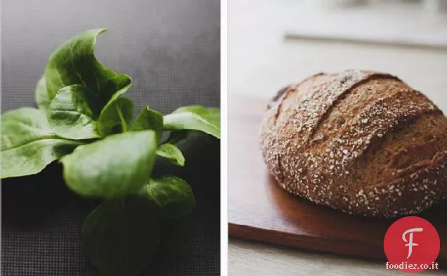 Cipolla caramellata+tartine verdi