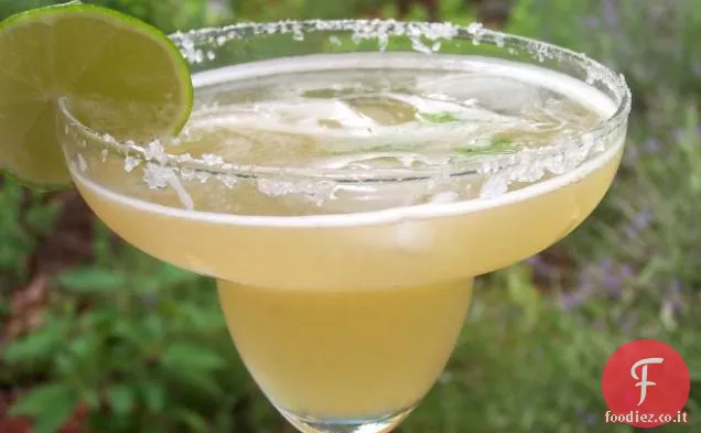 Max & Erm's Chicken Tortilla Soup-Il clone originale di Sue