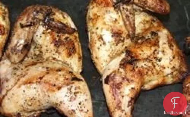 Galline alla griglia della Cornovaglia
