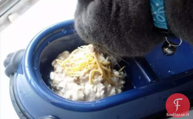 Portoghese Piri Piri Fegatini di pollo