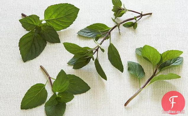 Pasta con quasi tutte le erbe del giardino