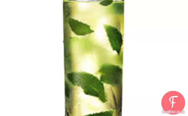 Pappagallo Baia Chiave Lime Mojito