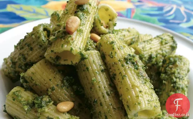 Pesto di Salvia e Rucola