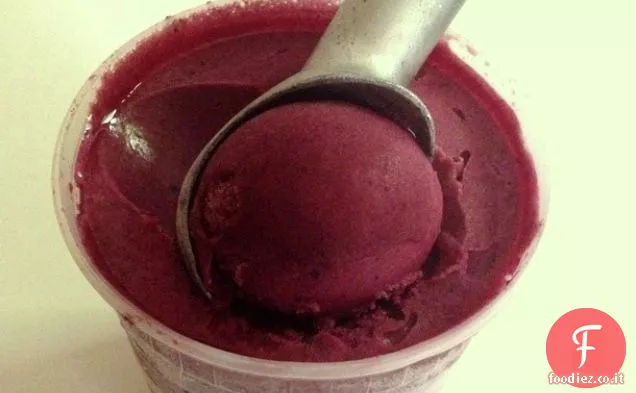 Sorbetto di mirtilli in salamoia