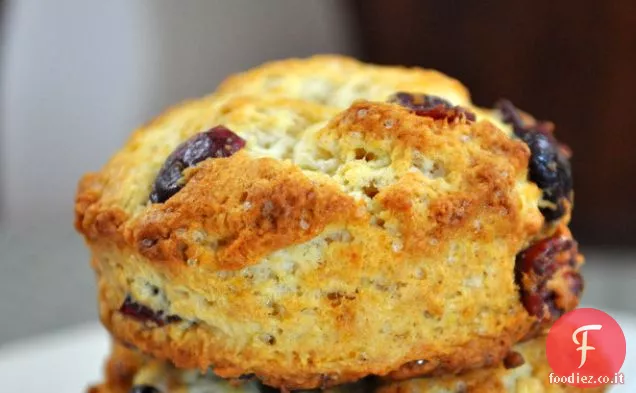 Cranberry Biscotti all'arancia