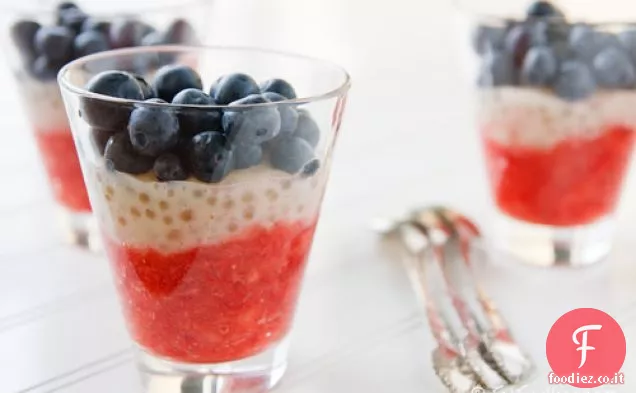 Semifreddi di Tapioca alla fragola e Mirtillo