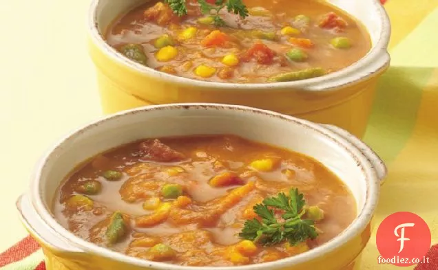 Zucca al curry-Zuppa di verdure