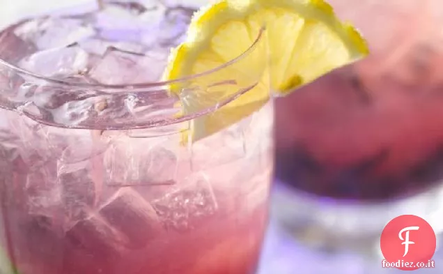 Limonata dura ai mirtilli