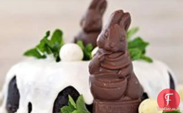 Torta al cioccolato coniglietto di Pasqua