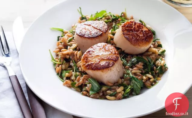 Capesante scottate con Farro al limone e insalata di rucola