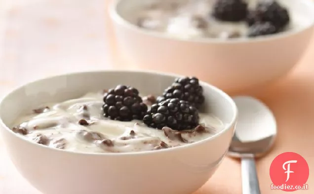 Cioccolato Chip Yogurt delizia
