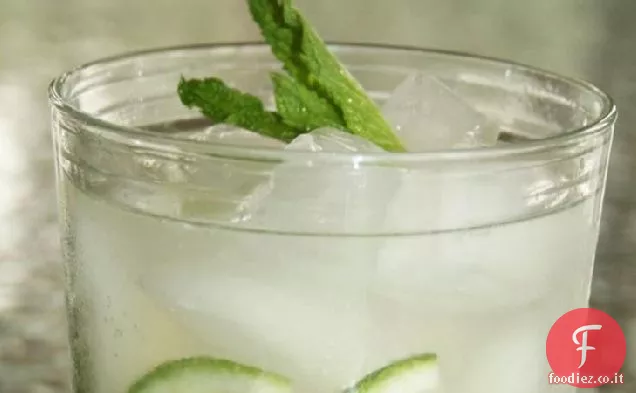 Mojito in cabina