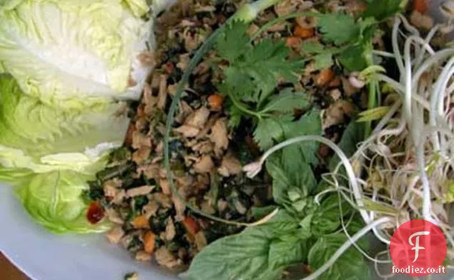 Lattuga asiatica avvolge con Scapes aglio