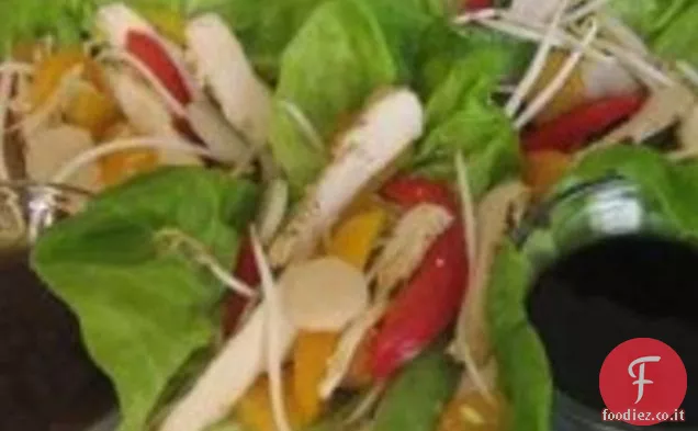 Kewl Lattuga asiatica avvolge