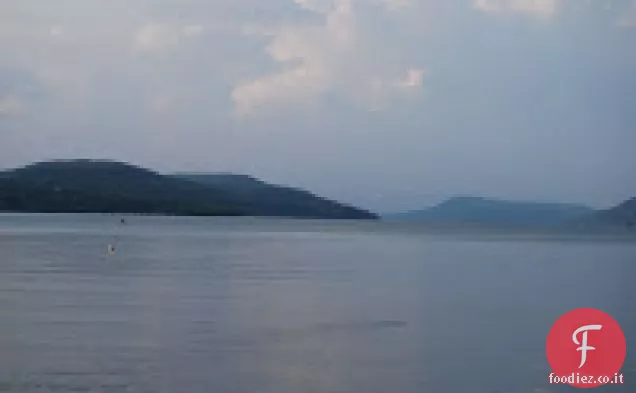 Insalata di pollo cinese di Char