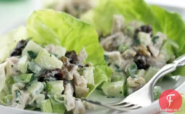 Impacchi di insalata di mele di tacchino salutari