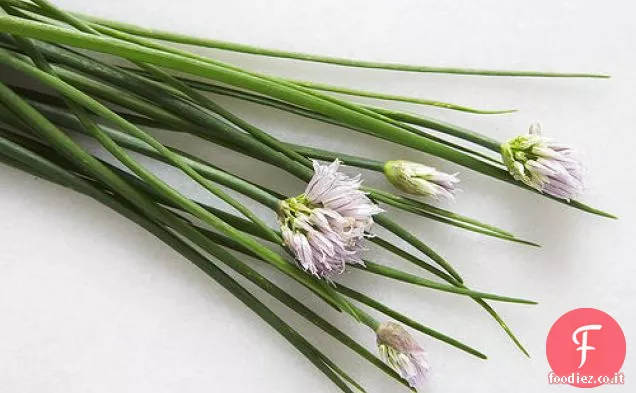 Lattughe primaverili con piselli dolci, erba cipollina, Aneto e menta