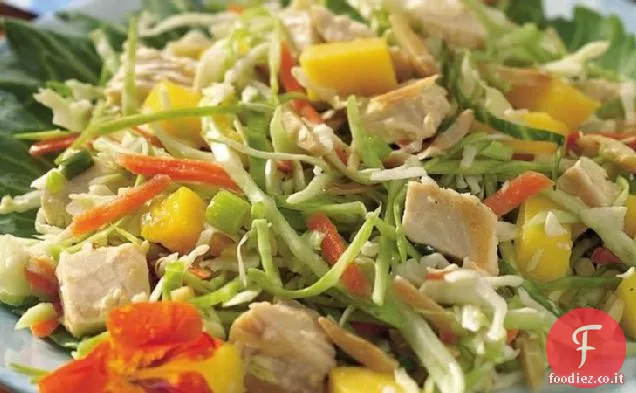 Insalata di pollo al mango
