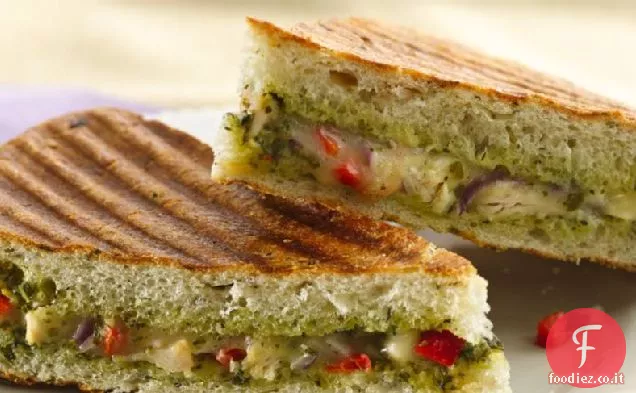 Pesto di Pollo Panini