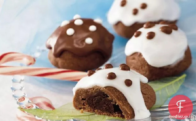 Biscotti al tartufo al cioccolato ghiacciato