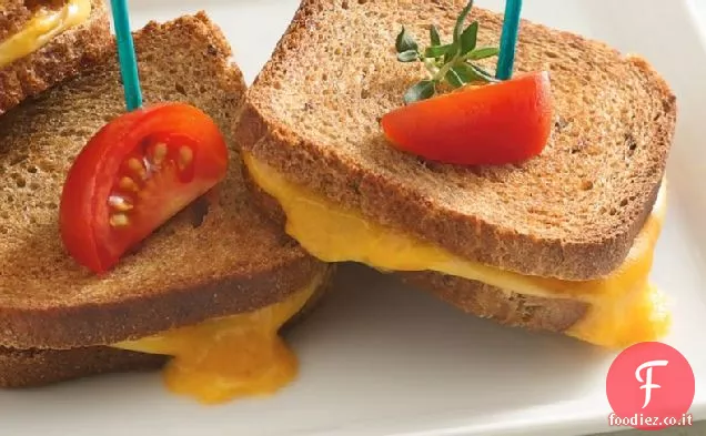Antipasto di formaggio alla griglia Panini