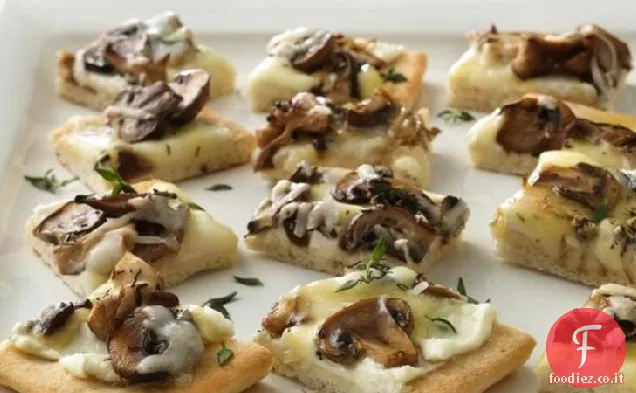 Pizza antipasto di funghi selvatici