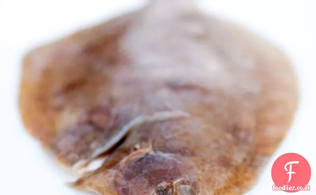 Sogliola di limone, cicoria e Galli cedroni