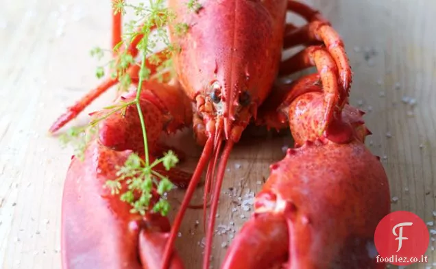 Insalata di aragosta con dragoncello